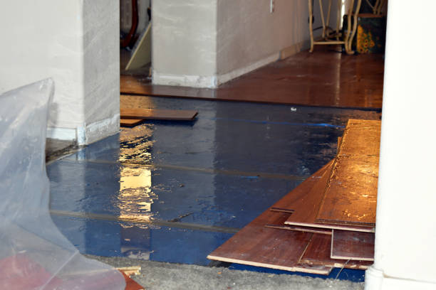 Professional Sewage Cleanup technician working in Whitehall, MI